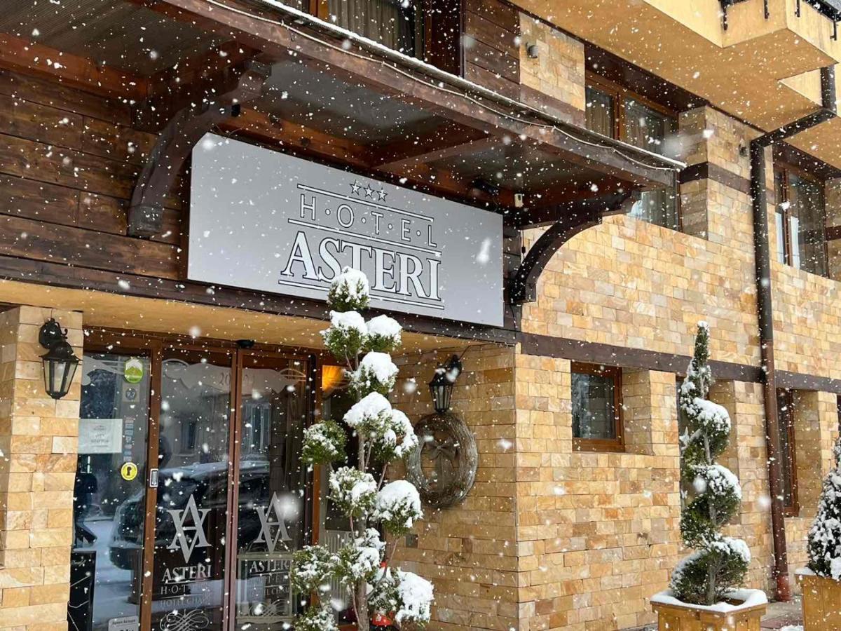 Hotel Asteri Bansko - Organic Food From Small Local Farms By Asteri Hotels 외부 사진